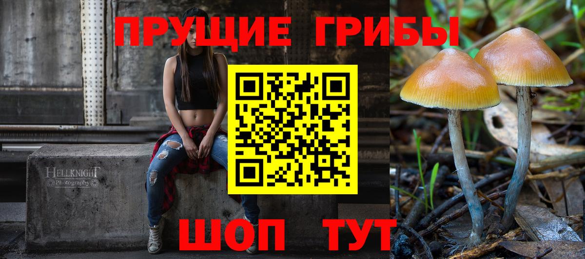 купить   Вход с VPN  Полевской  Псилоцибиновые грибы мицелий  Псилоцибиновые грибы MAGIC MUSHROOMS 