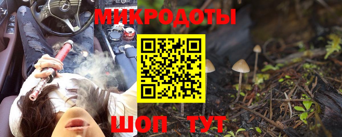 Галлюциногенные грибы MAGIC MUSHROOMS Полевской